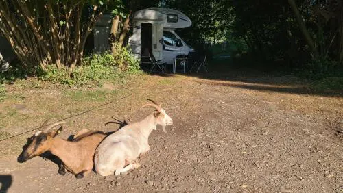 Camping - Bring dein Zelt oder Van und erlebe unseren Verein!