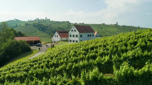 Weinschmiede 18'