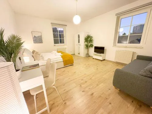 1 Bedroom Apartments, 18 minutes to the City Center, Smart TV