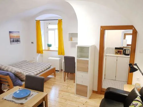 Komfortable Wohnung mit Garten im Zentrum von Graz