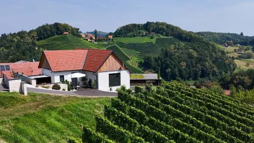 Chalet Sgarz