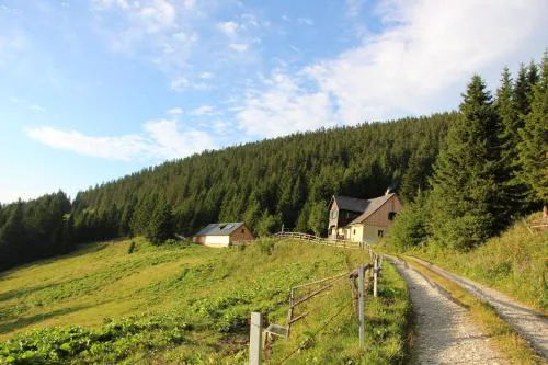 Idyllische Almhütte am Gaberl