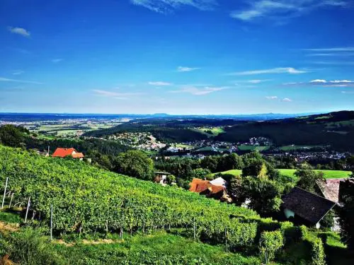 WIEDNERMICHL - Urlaub in den Weinbergen
