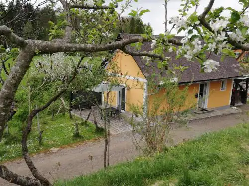 Ferienhaus Muster Dominkusch II