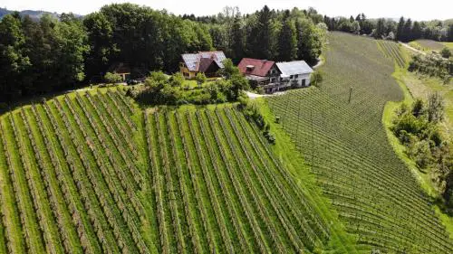 Weingut spitzyPeitler