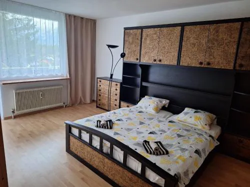 Dachstein Apartments - Bad Mitterndorf