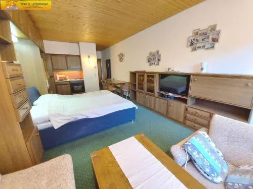 Studio in Bad Mitterndorf - Steiermark 37017