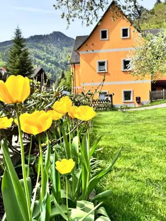 Ferienwohnung-Mixnitz-Bärenschützklamm 3