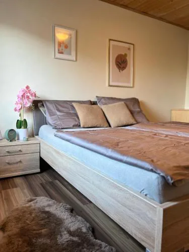 Gemütliche Wohnung/ cozy apartment Niklasdorf