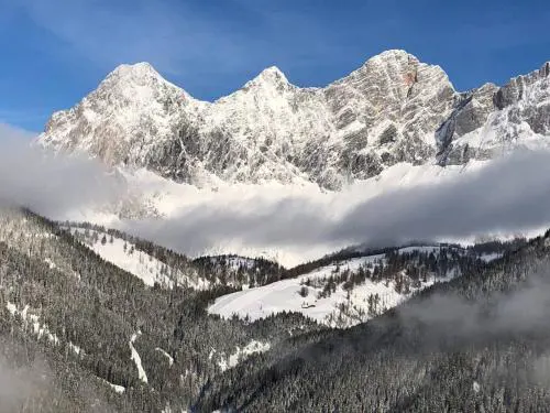 Family Appartment - Dachstein View