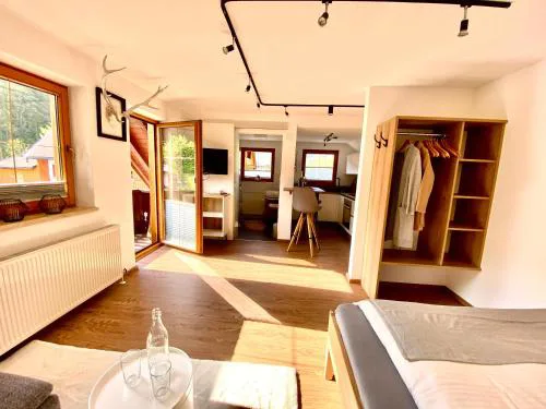 Haus Sonnleitner Studio Rittisberg