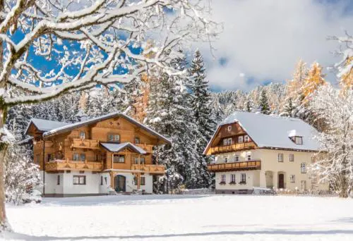 MEINE HEIMAT - Apartments in Ramsau bei Schladming - Skigebiet AMADE
