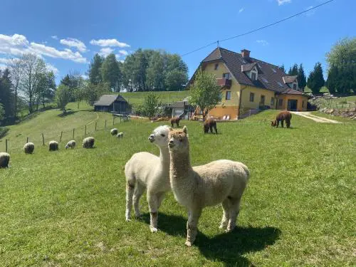 Biohof Kroisleitner Ferienwohnung Rundumblick