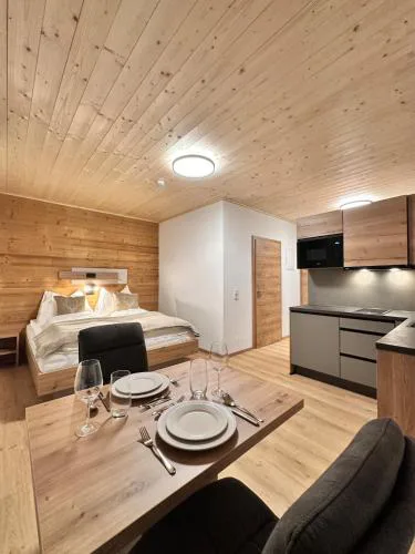 Alpin Studio Schladming 101