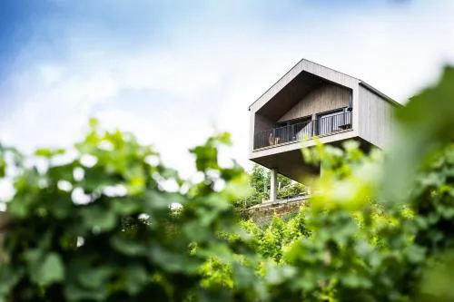 Ferienhaus Am Grassnitzberg