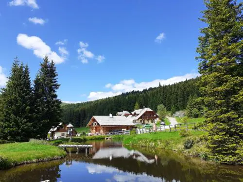 Holiday Home Lachtalhütte by Interhome