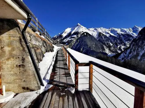 Alpennestl