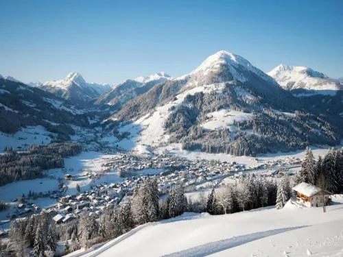 Apartment in Kirchberg near Ski Lift