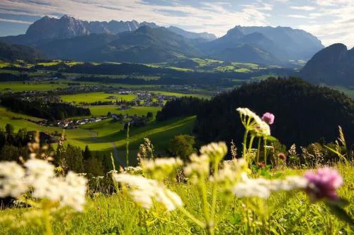 Ferienwohnung Bergblick