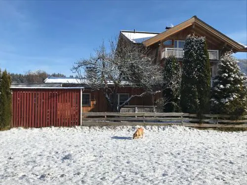 Sissy Appartment