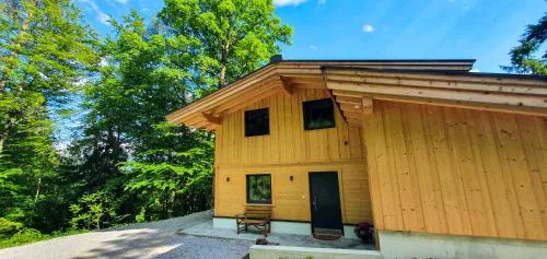 Das Haus Steger zu Stein