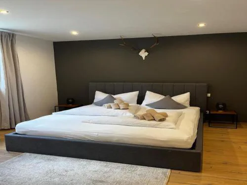 Modern apartment in Seefeld