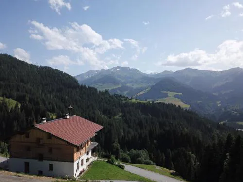 Ferienwohnung in Panorama Alleinlage Kitzbüheler AlpenWILD63 by FeWo-Plan
