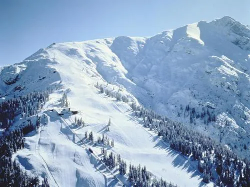 Apartment in Seefeld near Rosshütte