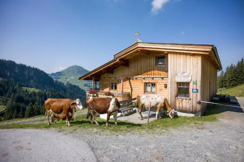 Alm-Appartement - Fam. Niedermühlbichler