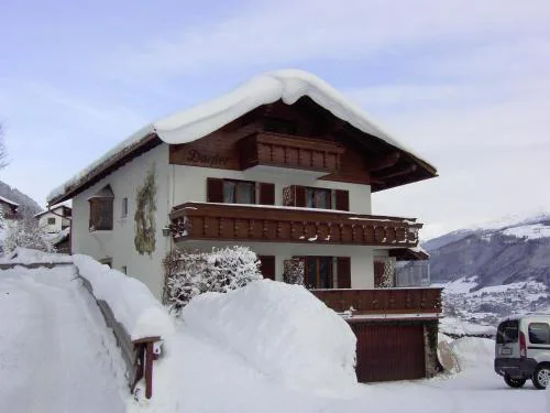 Pension Danler