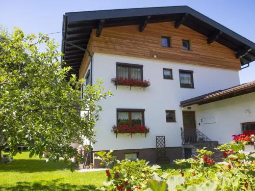 Bei Steiner
