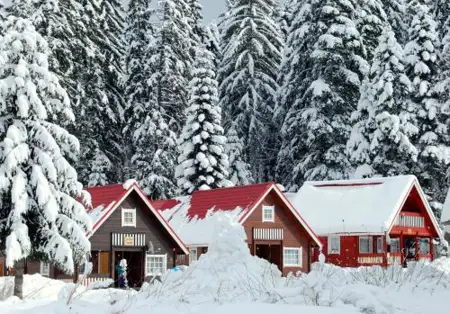 Alpine ski chalet Borovets with sauna