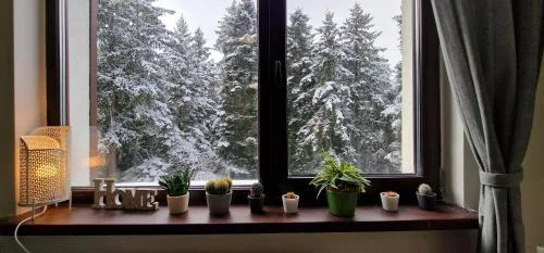 Pine Tree Apartment / Borovets Gardens