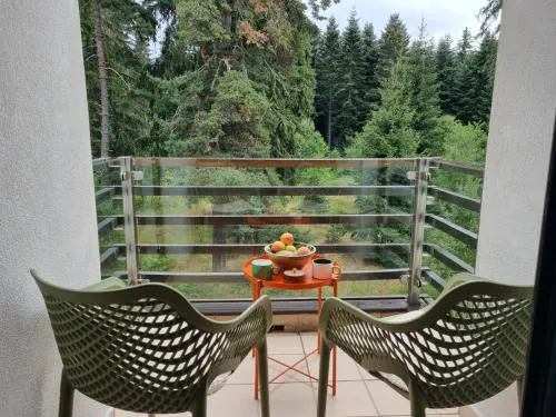 Private Studio Pine Whisper 4 pax in Euphoria Club