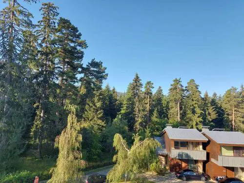 Residence E205 Euphoria Borovets