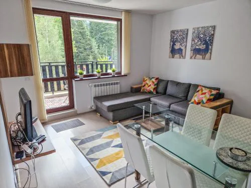 Sunny Apartment C25
