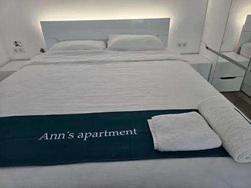 Ann's apartment