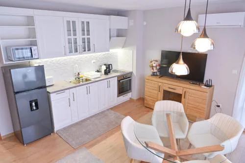 2 Luxurious one bedroom apartments 5 minute walk from the Gondola station