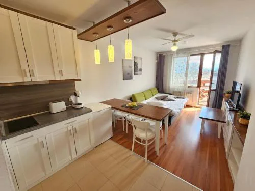 Bansko Private VIP Apartment