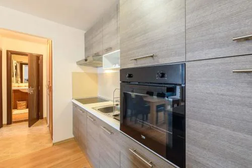 Bansko Ski & Relax Apartment