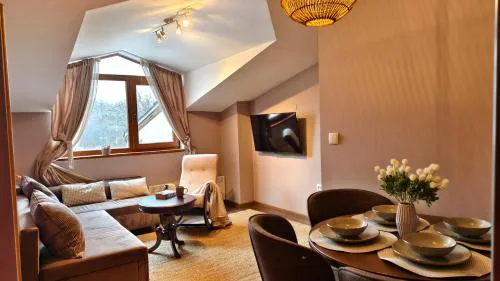 Cozy Stylish 2-bedroom apt near ski road, 5min to Gondola & bars