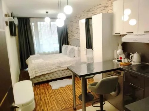 Luxury studio Perun Lodge
