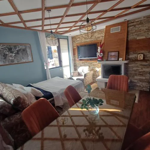 Mila VIP Apartment