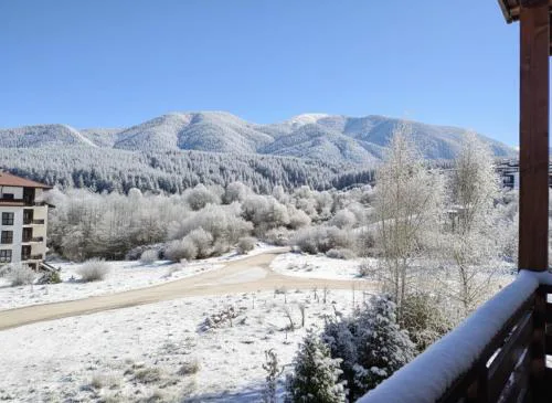 Pirin Heights Apartment 200m from SKI ROAD