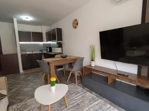 Ski cosy apartment 5