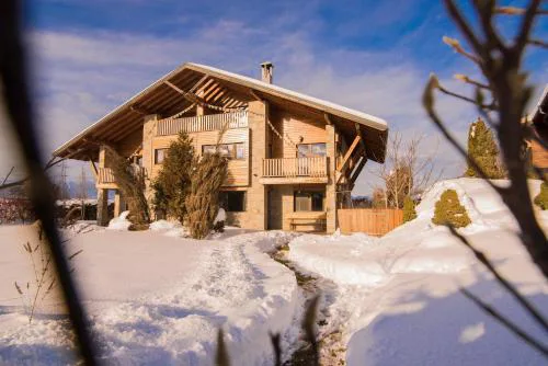 Villa Chalet Everest