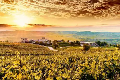 Zornitza Family Estate Relais & Chateaux