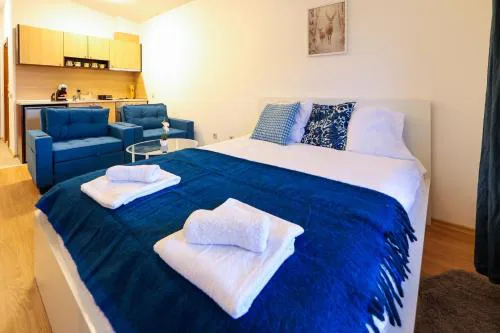 Bright Studio near Pirin Golf Bansko w Terrace