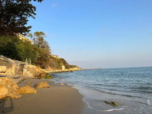 Alex Beach