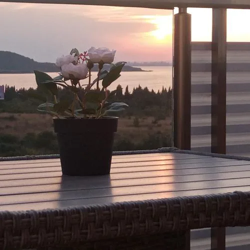 Vila Mihnevi